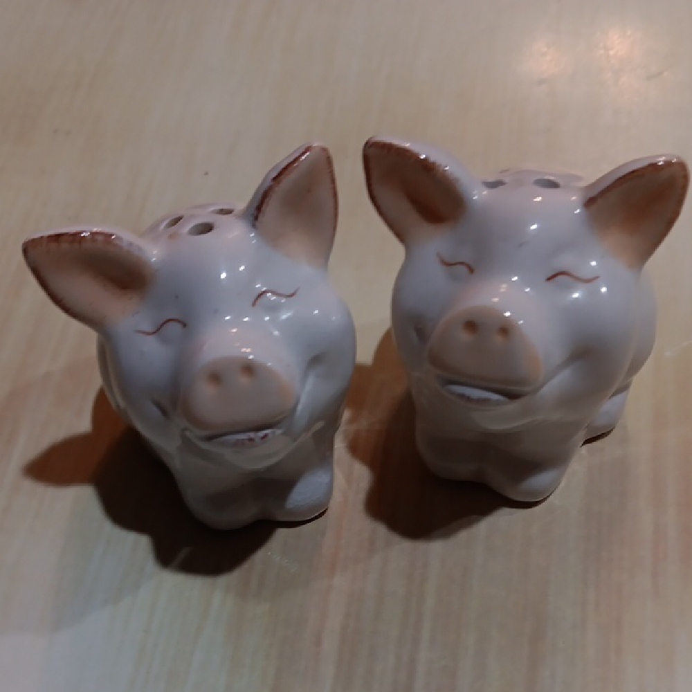 Adorable Pig Salt and Pepper Shakers